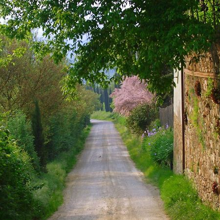 Iris Daire Poggibonsi Dış mekan fotoğraf