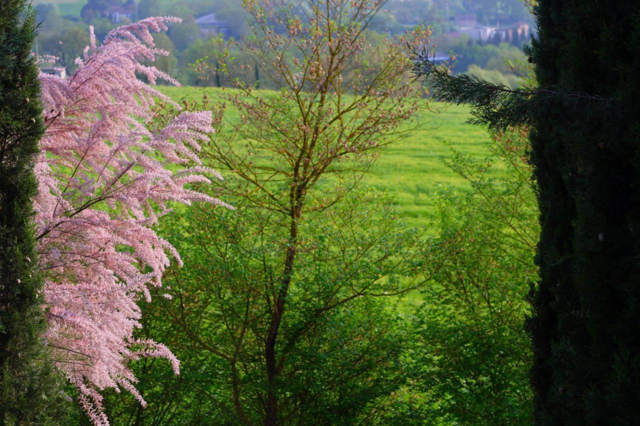 Iris Daire Poggibonsi Dış mekan fotoğraf